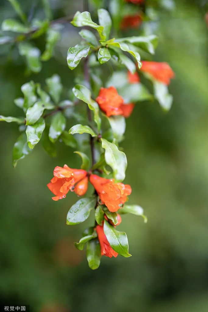 ����ϣ����williamhill(�й�)���Ĺٷ���վ